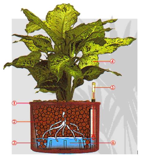 Detail hydroponického hladinomera ukazujúceho optimálnu hladinu živného roztoku