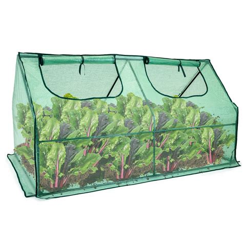 dizajnérske znázornenie zdravých jahodových rastlín na slnečnom záhone