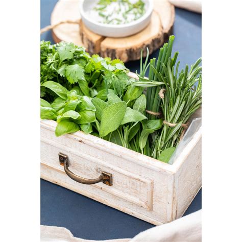 Zmes čerstvých byliniek pripravených na použitie