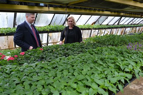 Záber na skleníkové hospodárstvo s kvetinovými záhonmi a pestrým sortimentom sadeníc