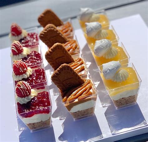 Detailná fotografia zakorenených odrezkov v plastovom poháriku