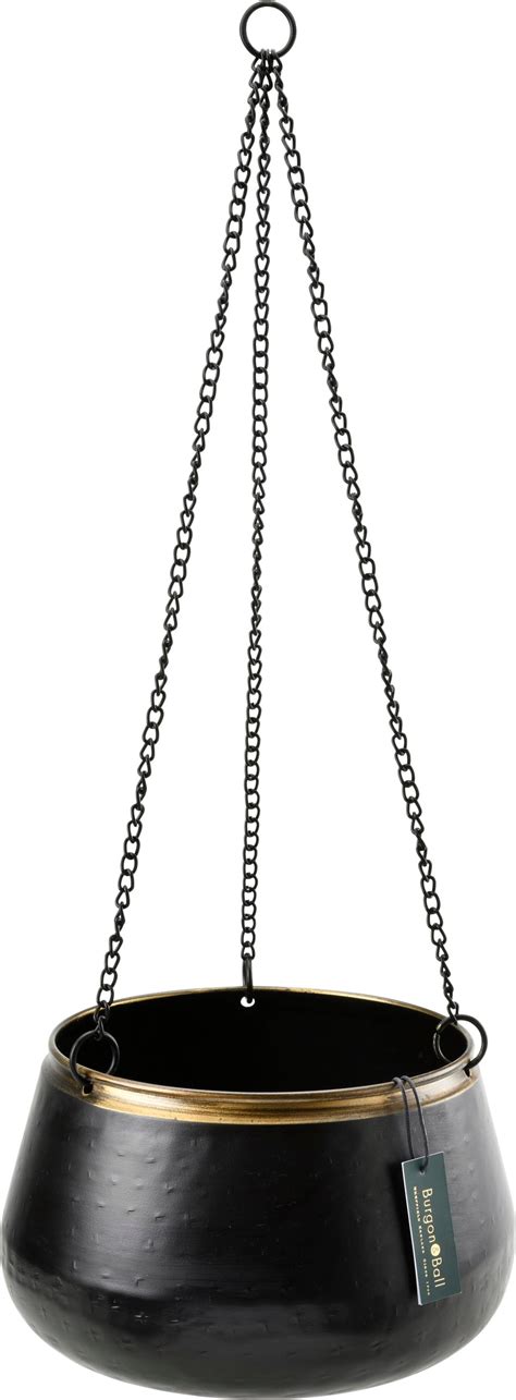 Závesný kvetináč s dozrievajúcimi jahodami.