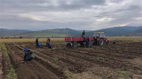 Schéma prípravy pôdy a aplikácie hnojív v priebehu vegetačného obdobia zemiakov