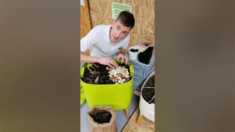 Ilustračná fotografia prípravy bylinného odvaru z vŕbovej kôry v domácom prostredí