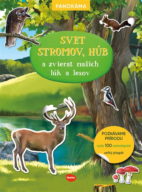 Schéma mykoríznej symbiózy húb s koreňovým systémom stromov