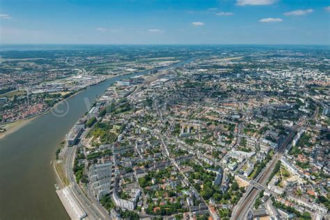 Ilustrácia rôznych odrôd mrkvy (nantes, chantenay, fialová)