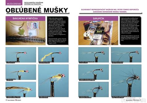 Ilustrácia mrkvovej mušky a spôsob ochrany