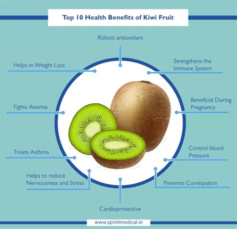 Infografika o nutričných hodnotách kiwi