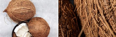 Schéma zloženia substrátu: rašelina, kokosové vlákno, íl a pridané živiny