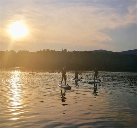 Skupina kapybár pri vodnej ploche.