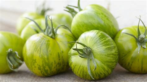 Detailný záber na zrelé plody paradajky Green Zebra s charakteristickým zeleno-žltým žíhaním
