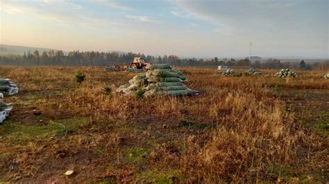 Fotografia farmára Martina Guličku pri jeho čučoriedkovej plantáži