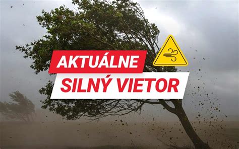 Schéma: Rizikové faktory pri silnom vetre a vplyv stavu drevín na stabilitu konárov v mestskom prostredí