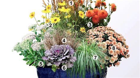 Ilustračná fotografia jesenného kvetinového záhona s astrami a okrasnými trávami