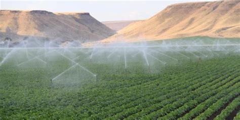 Rôzne typy zdrojov vody pre zavlažovanie