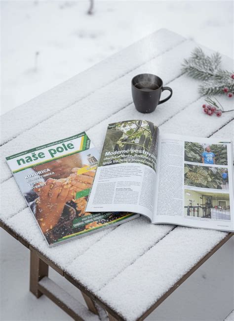 Schéma pôsobenia dusíkatého vápna v pôde: od aplikácie až po uvoľnenie dusíka a vápnika.