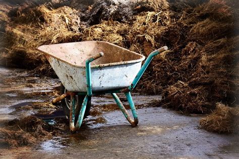 Tematická fotografia maštaľného hnoja v záhrade