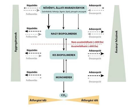 infografika znázorňujúca proces rozkladu organickej hmoty v pôde počas zimy a uvoľňovanie živín na jar