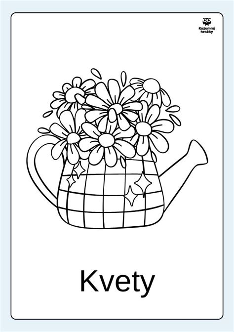 Schéma kakaovníka znázorňujúca jeho rast, kvety na kmeni (kauliflória) a dozrievajúce plody