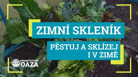 Infografika kompatibility zeleniny v skleníku