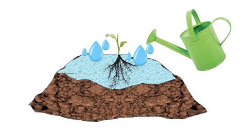 Ilustrácia znázorňujúca konkurenciu jahôd s burinou o vodu a živiny v pôde.