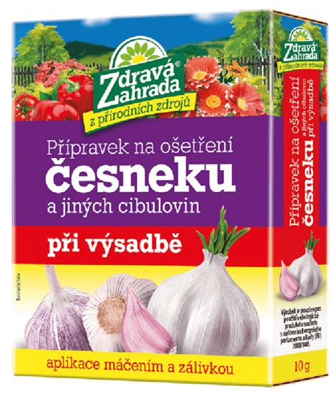 Schéma správnej hĺbky a vzdialenosti pri výsadbe cibuliek okrasného cesnaku
