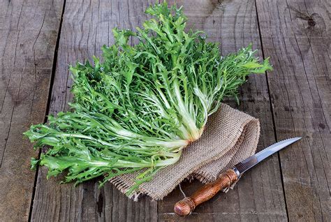 Infografika porovnávajúca rôzne druhy šalátov