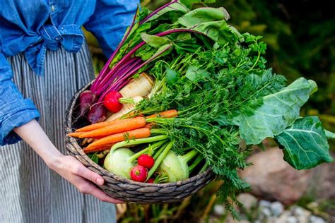 rôzne druhy ovocia a zeleniny pripravené na zber