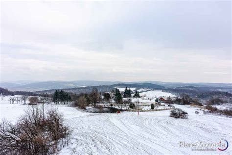 Viničné sady na svahu Malých Karpát