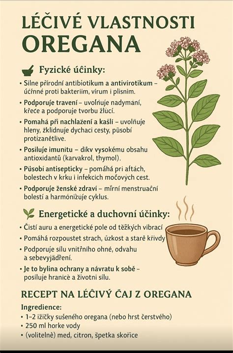 Ilustrácia znázorňujúca liečivé účinky oregana