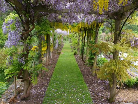 Záhradná pergola obrastená kvitnúcimi popínavými rastlinami