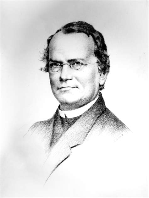 Portrét Johanna Gregora Mendela