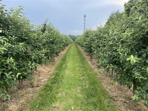 Mapa Normandie zdôrazňujúca jabloňové sady a pobrežné oblasti bohaté na plody mora