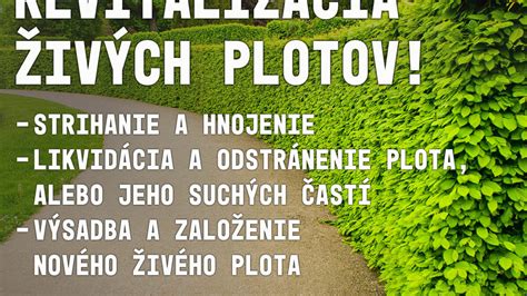 Schéma porovnania rôznych druhov živých plotov podľa výšky a hustoty