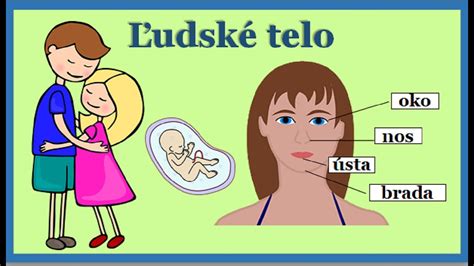 ilustrácia sadenia tují s vyznačenými rozostupmi