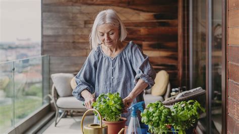 Mozaika črepníkov s rôznymi bylinkami (bazalka, mäta, rozmarín) na balkóne.