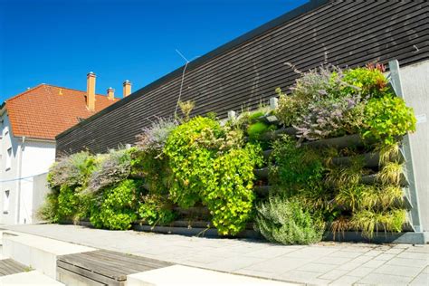 Fotografia vertikálnej záhrady na balkóne, s bylinkami a malou zeleninou rastúcou v závesných kvetináčoch alebo vreckách.