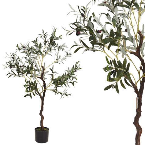 Tematická fotografia mladého avokádovníka v kvetináči