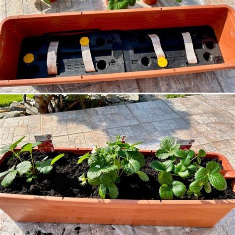 Schéma samozavlažovacieho kvetináča