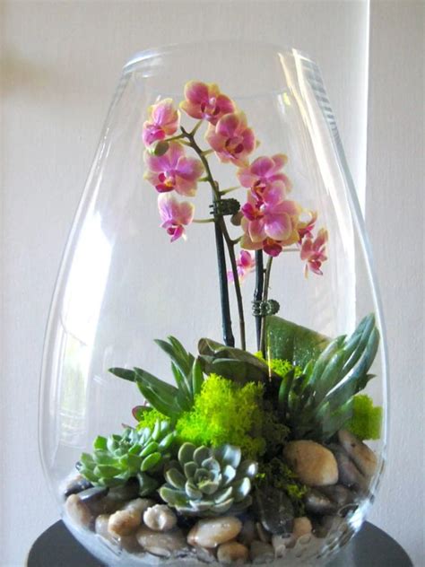 Detailný záber na kvitnúcu orchideu Phalaenopsis v sklenenej váze s dekoratívnymi kamienkami