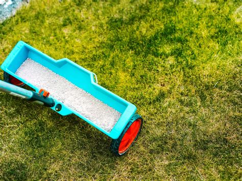 Ilustrácia trávnika po vertikutácii s pripraveným pieskom na aplikáciu.