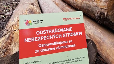 Ilustrácia znázorňujúca vplyv vandalizmu na mestské stromy