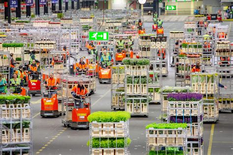 Fotografia: Interiér aukčnej siene Royal Flora Holland s elektronickými tabuľami a obchodníkmi