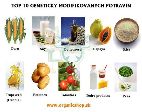 Schéma: Proces hodnotenia bezpečnosti geneticky modifikovaných potravín podľa WHO/FAO