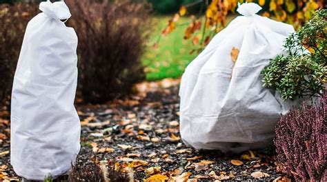 ilustračné foto: záhon s rastlinami chránený netkanou textíliou