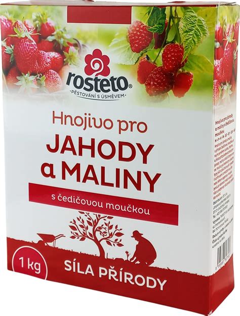 Náčrt správneho zasadenia maliny s plytkými koreňmi