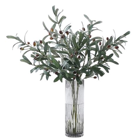 Ilustračný obrázok olivovníka európskeho s listami