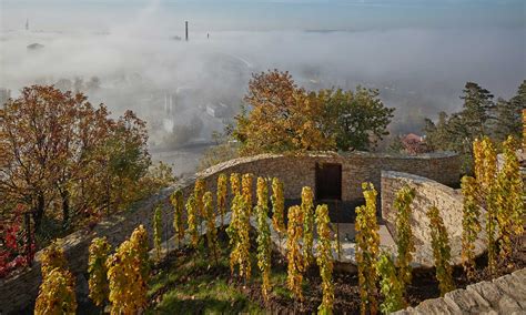 Schéma slnečného svahu ideálneho pre vinohrad s vyznačenou orientáciou