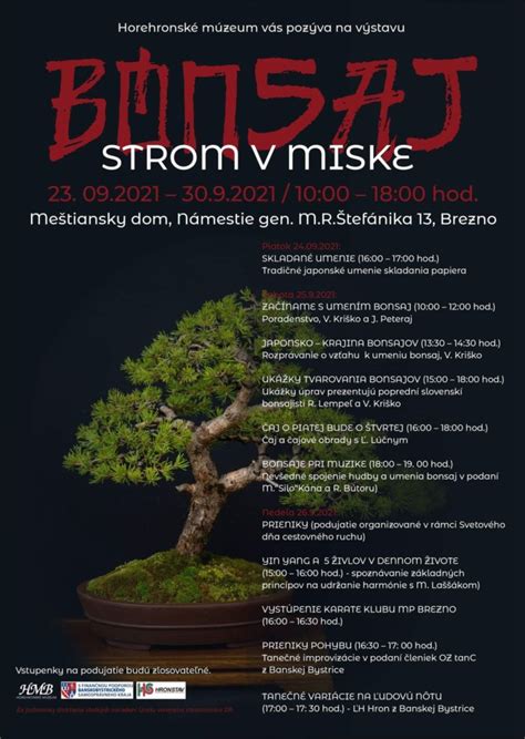 bonsaj v miske v interiéri