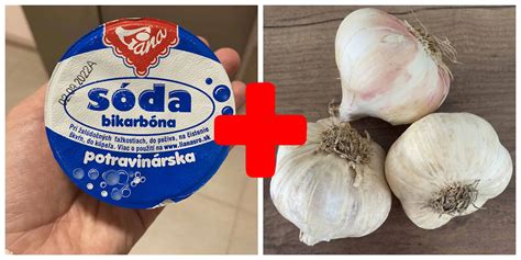 Infografika: Porovnanie strúčikov sadbového a konzumného cesnaku
